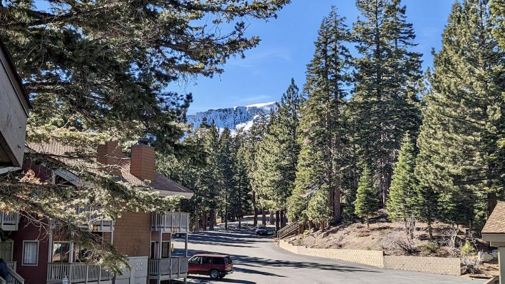 Cozy Condo Walking Distance To Village And Gondola W/ Pool/ Jacuzzi Sleeps 4. Mammoth Lakes Exterior foto